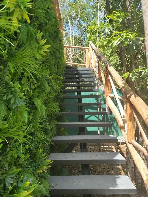 Reflective Jungle Treehouse With Plunge Pool Apartment Tulum