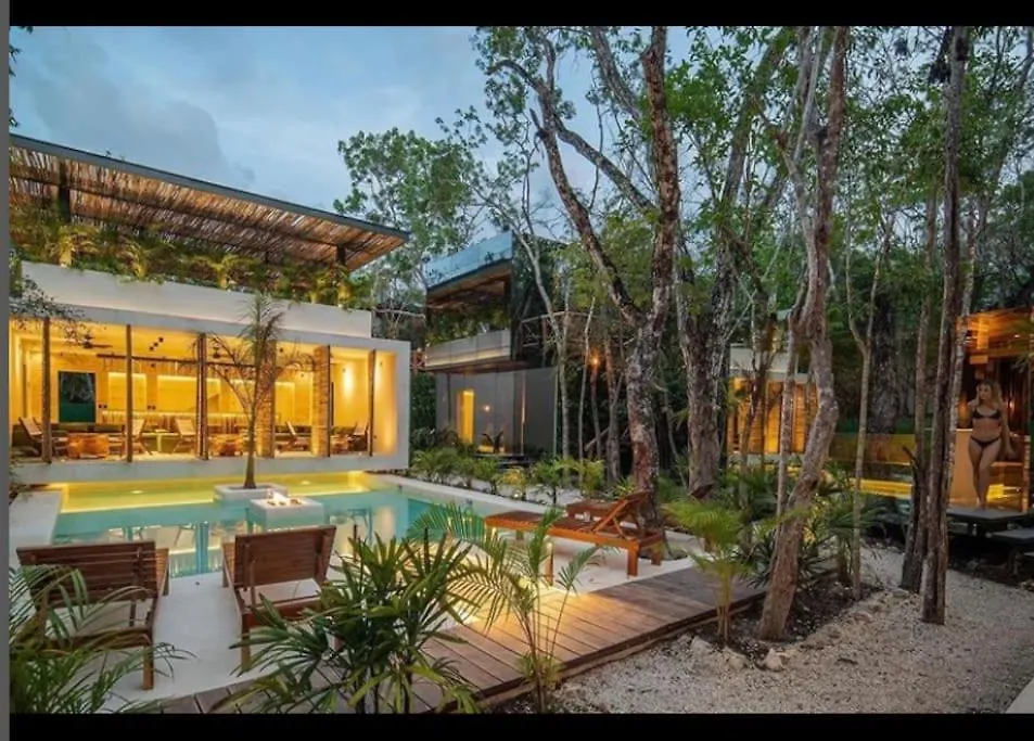 Reflective Jungle Treehouse With Plunge Pool Apartment Tulum