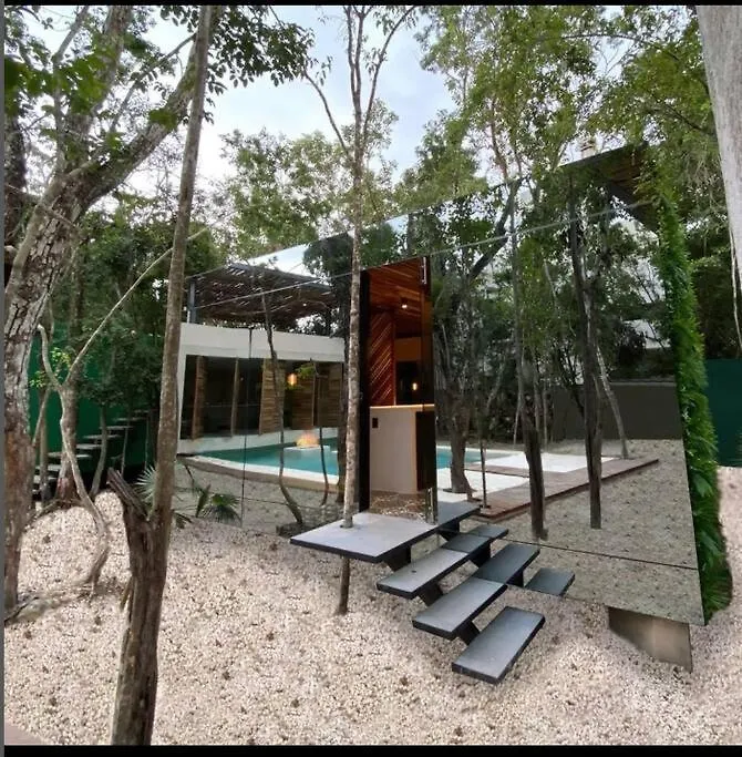 Reflective Jungle Treehouse With Plunge Pool Apartment Tulum