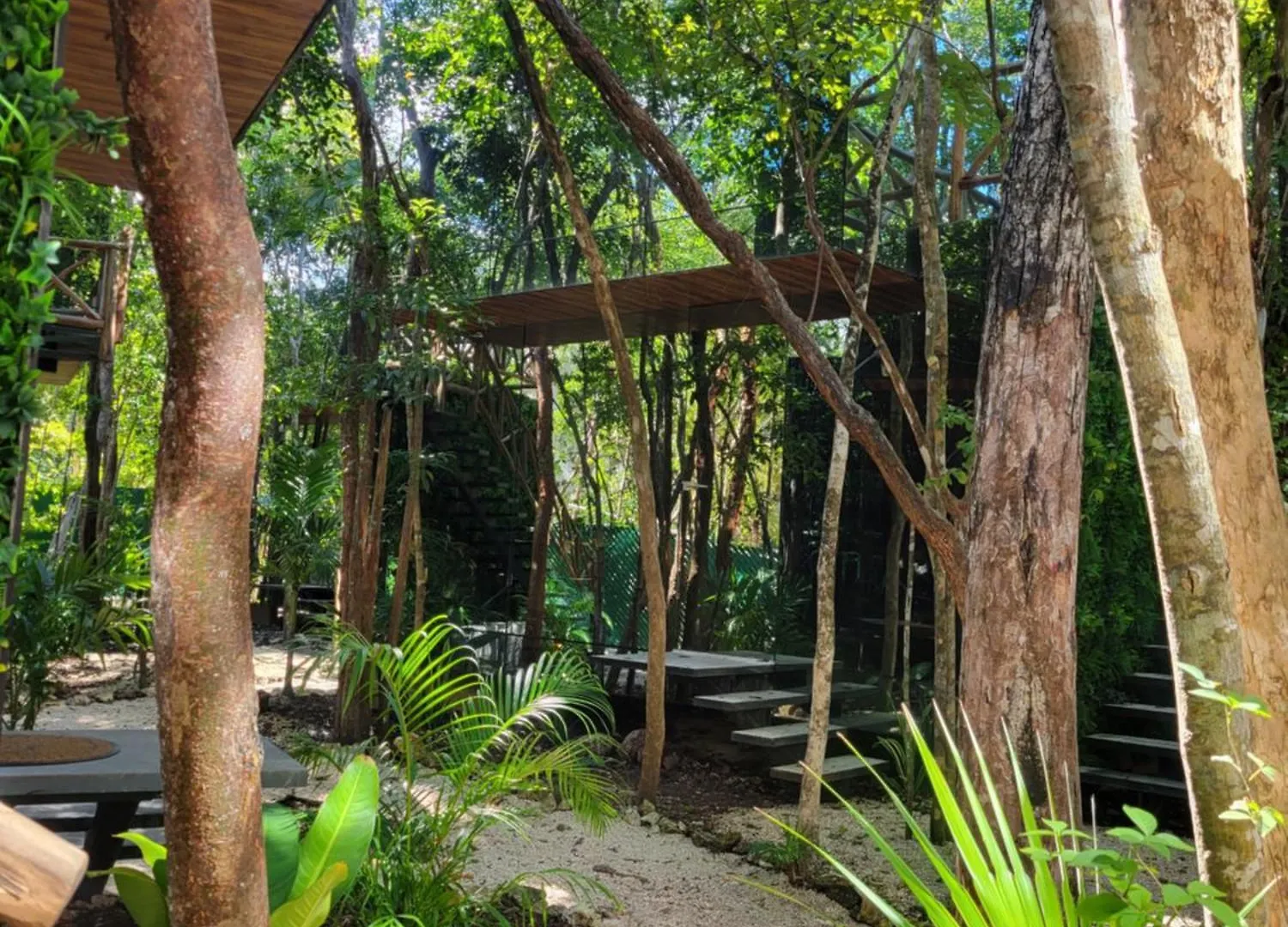 Reflective Jungle Treehouse With Plunge Pool Apartment Tulum 0*,  Mexico